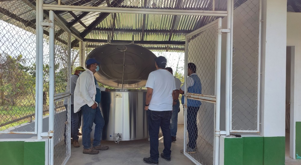  nullFamilias restituidas de El Tesoro en Tierralta, fortalecen sus proyectos productivos con articulación institucional 