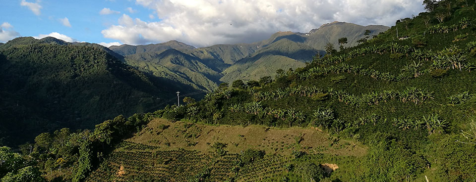 Unidad de Restitución de tierras (URT) iniciará trabajos en varias zonas de Pradera (Valle del Cauca), que estaban contaminadas con minas antipersona 