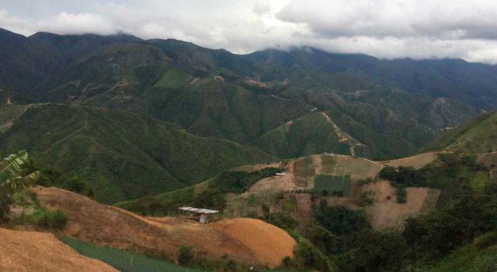Tribunal de Restitución de Tierras ordenó compensar a seis hermanos del corregimiento de Campo Dos con una casa, proyectos productivos y formación del SENA 