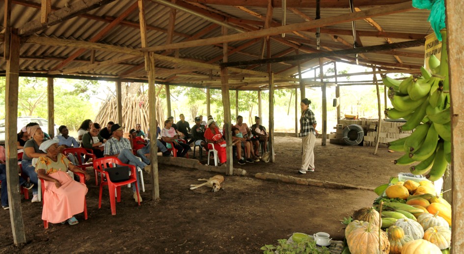 Decretan medidas cautelares para proteger derechos territoriales del Consejo Comunitario de Comunidades Negras Rincón Guapo Loverán, en Magdalena