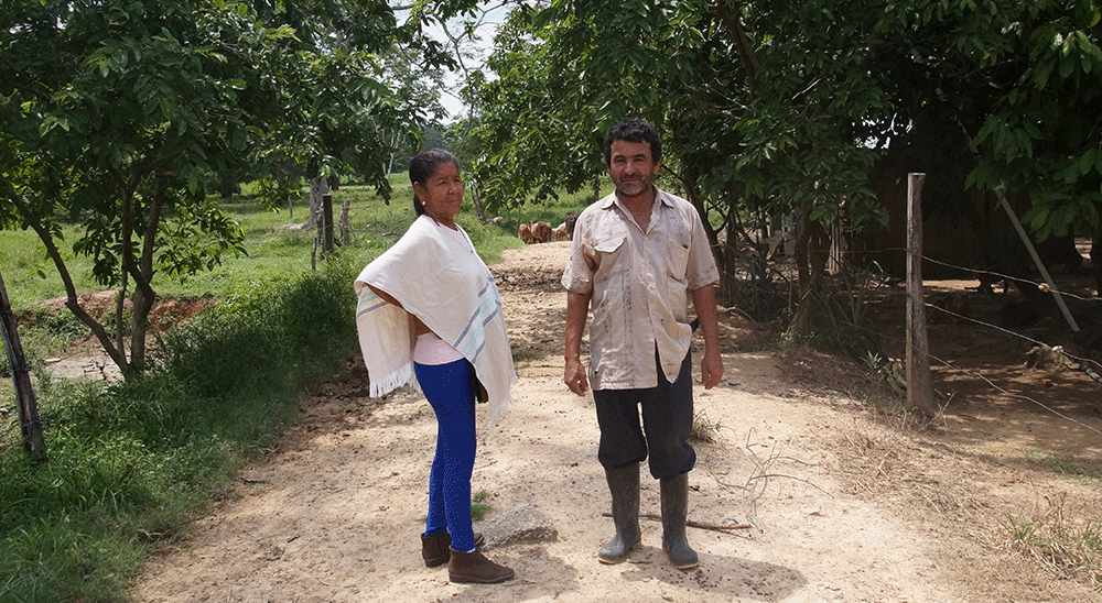 Unidad de Restitución de Tierras entregó predios a segundos ocupantes en el Magdalena Medio 