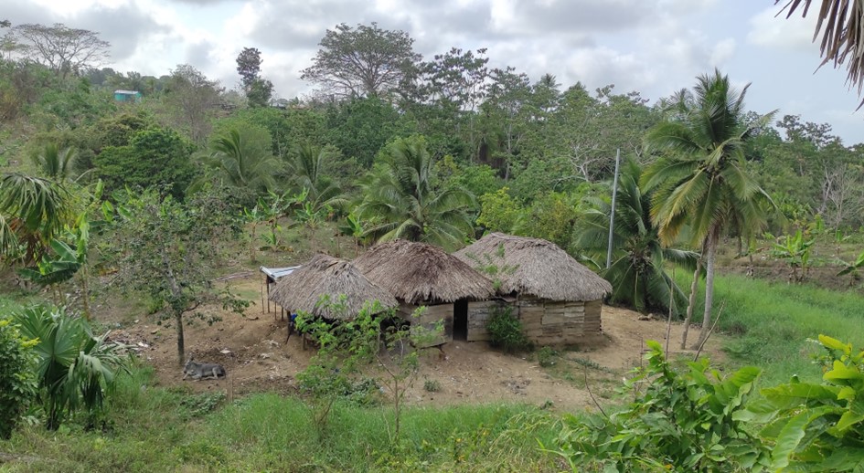 El Resguardo Indígena Canime de Arboletes, Antioquia, es caracterizado para llevar su caso a la justicia