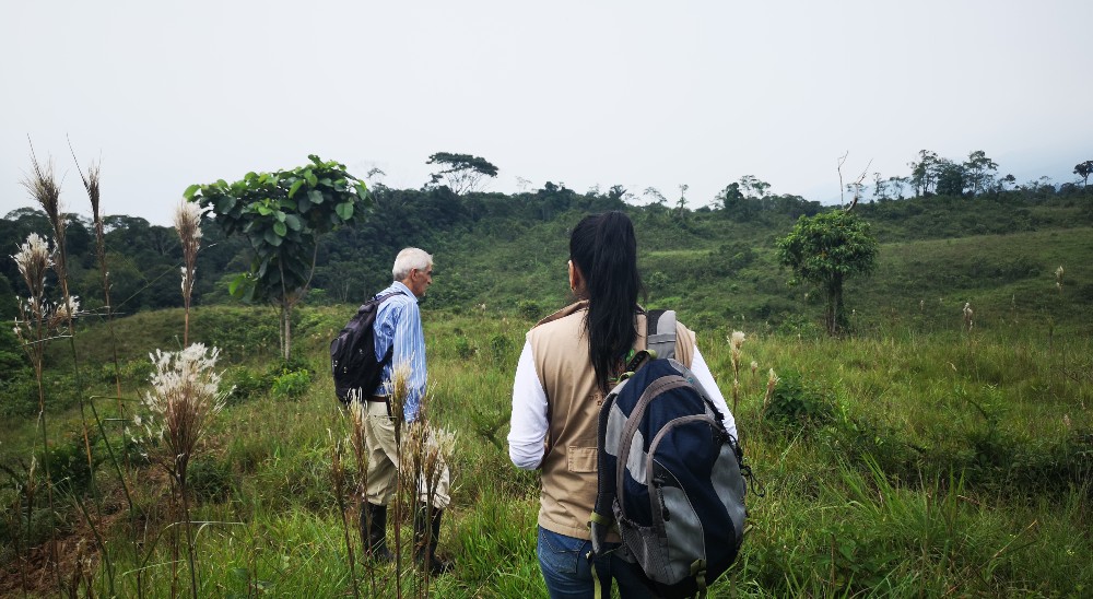 Unidad de Restitución de Tierras, abre convocatoria para comprar predios en Puerto Caicedo, Putumayo 