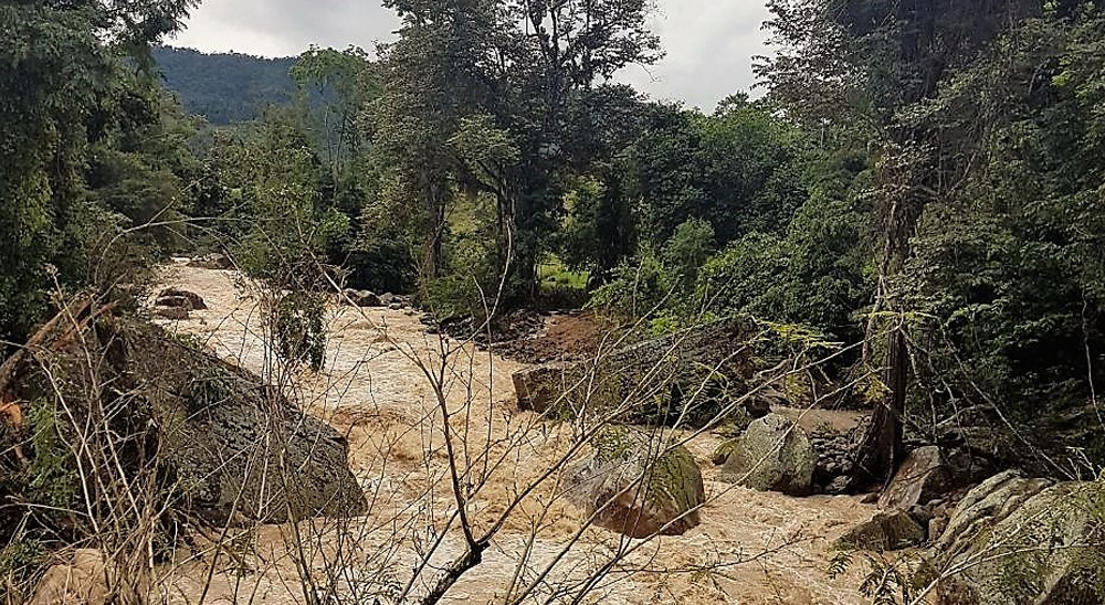 Víctima de los paramilitares, en Lebrija, recibirá predio a manera de compensación