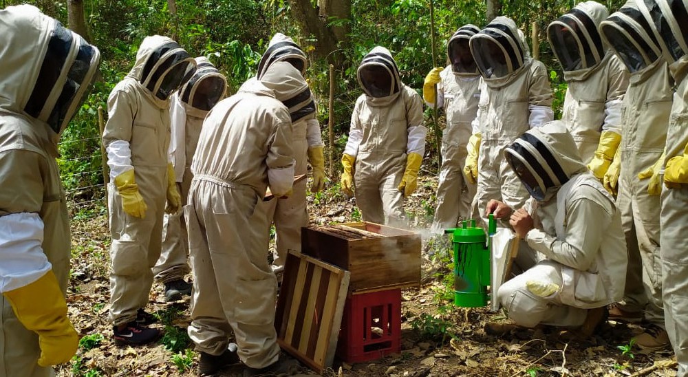 Con 287 sentencias de restitución, más de 4.500 campesinos cordobeses han recuperado sus tierras 