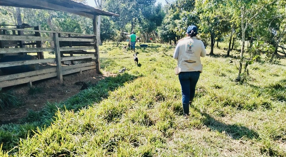 La URT devolvió 213 hectáreas a sus legítimos dueños en La Macarena, Meta