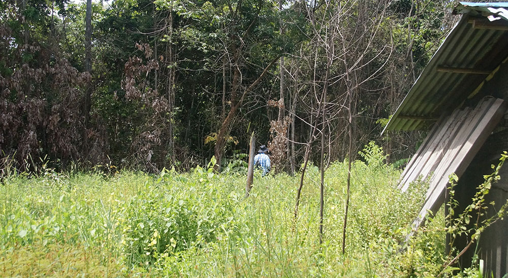 Tribunal de Cúcuta emitió la primera sentencia de restitución relacionada con tierras de Girón, Santander 