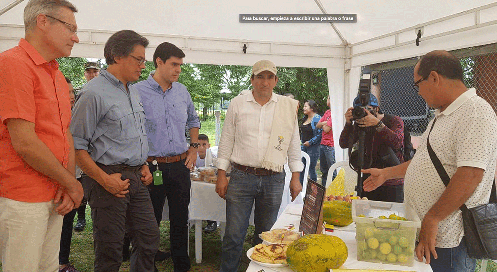 “El predio Los Cocos es el ejemplo de que los campesinos restituidos le están aportando al campo y a la economía del país”: Director General de la URT