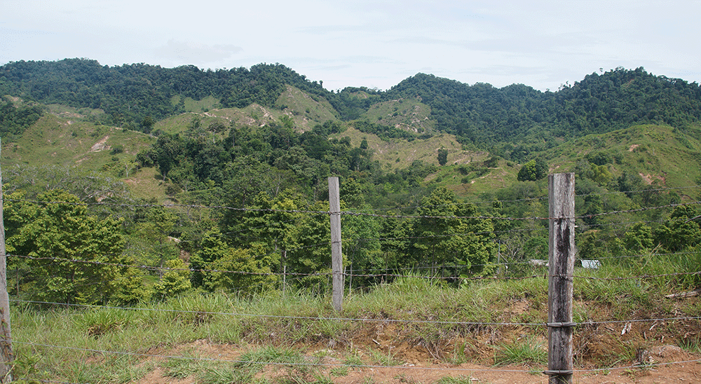  nullFamilia de El Carmen de Chucurí, víctima de la guerrilla, será compensada por la URT 