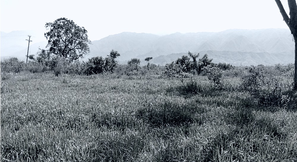 Unidad de Restitución de Tierras lamenta y repudia el asesinato del señor Gregorio Morales en el departamento de Bolívar 