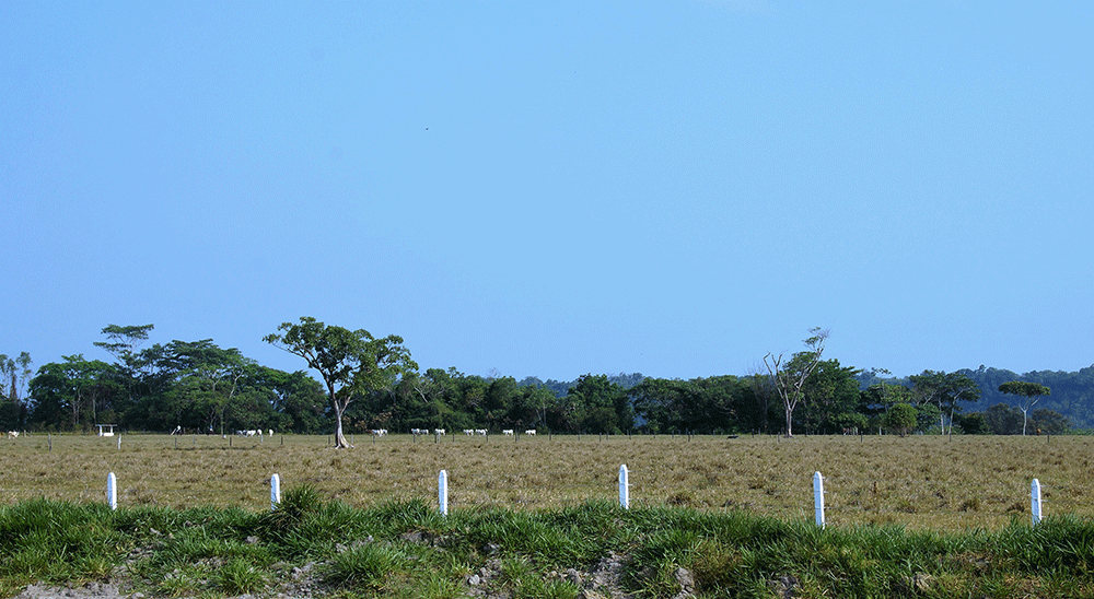 Unidad de Restitución de Tierras (URT) prestará atención a solicitantes en el Centro Regional de Víctimas de San José del Guaviare 