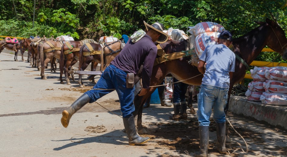 Director de la URT en Antioquia presentó balance de restitución ante el gobernador