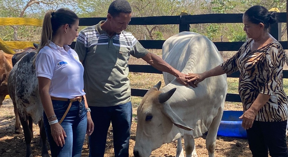  nullCon alta inversión en proyectos productivos Unidad de Restitución de Tierras fortalece acciones en Magdalena 