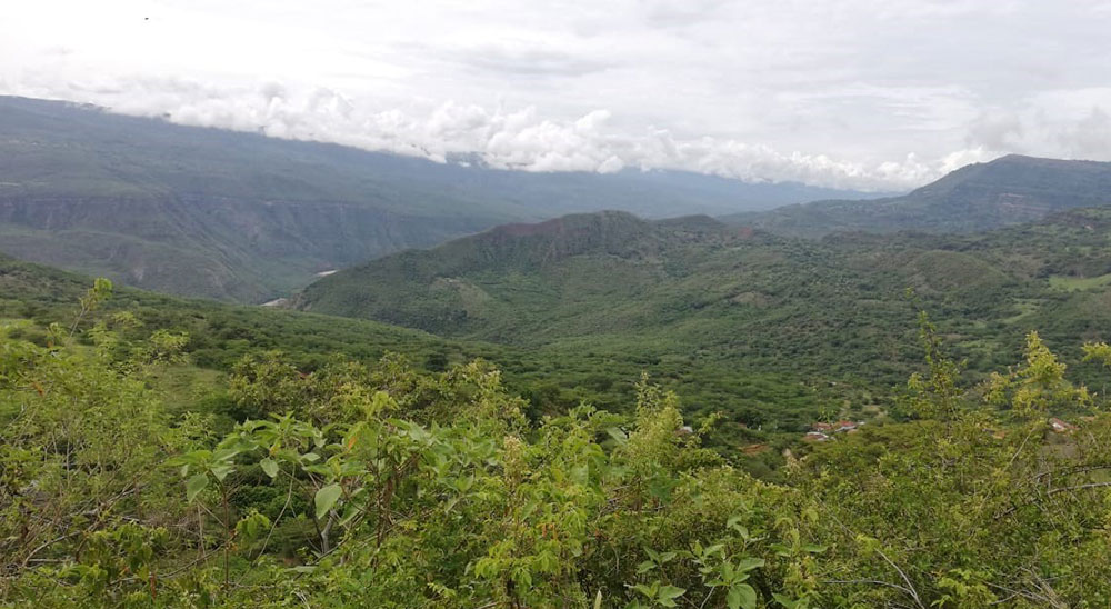 Restituyen por equivalencia a víctima de la violencia de Simacota, (Santander) 