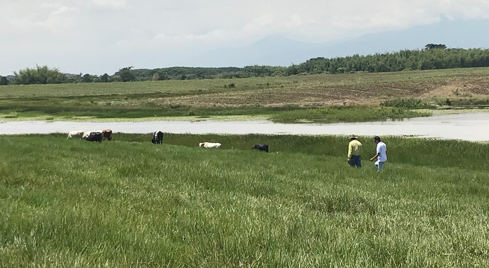 Unidad de Restitución de Tierras proyecta cerrar zonas en el departamento de Cauca, tras atender cerca del 100% de las solicitudes
