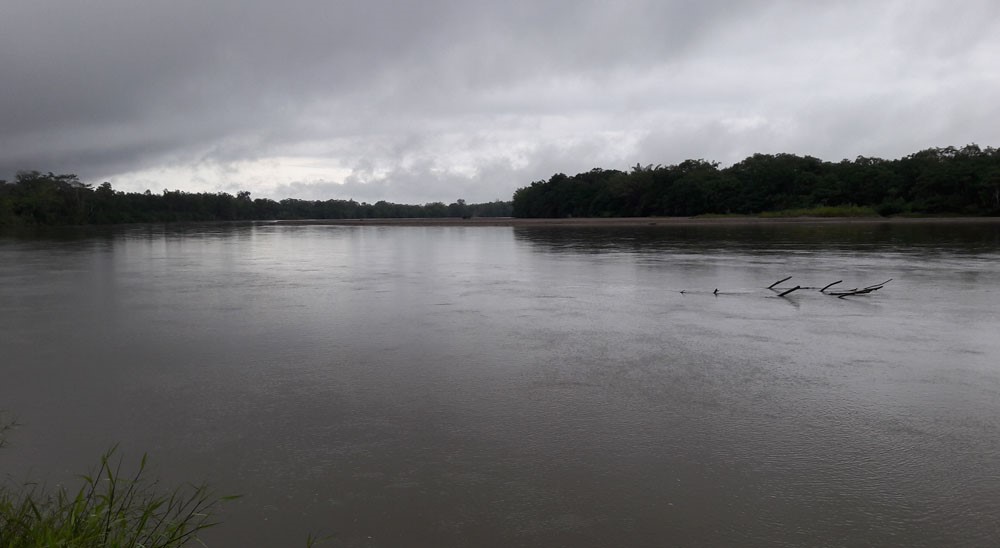 En Putumayo, la URT responde al 100% de las solicitudes hechas en cinco municipios