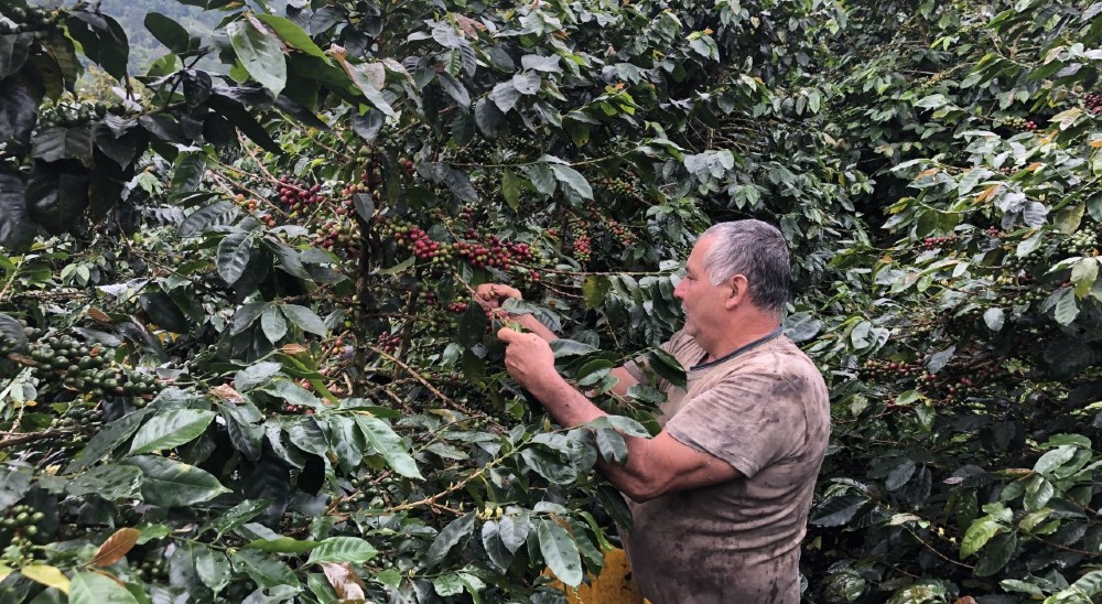 null3.483 predios del Tolima han sido inscritos en Registro de Tierras Despojadas y Abandonadas Forzosamente