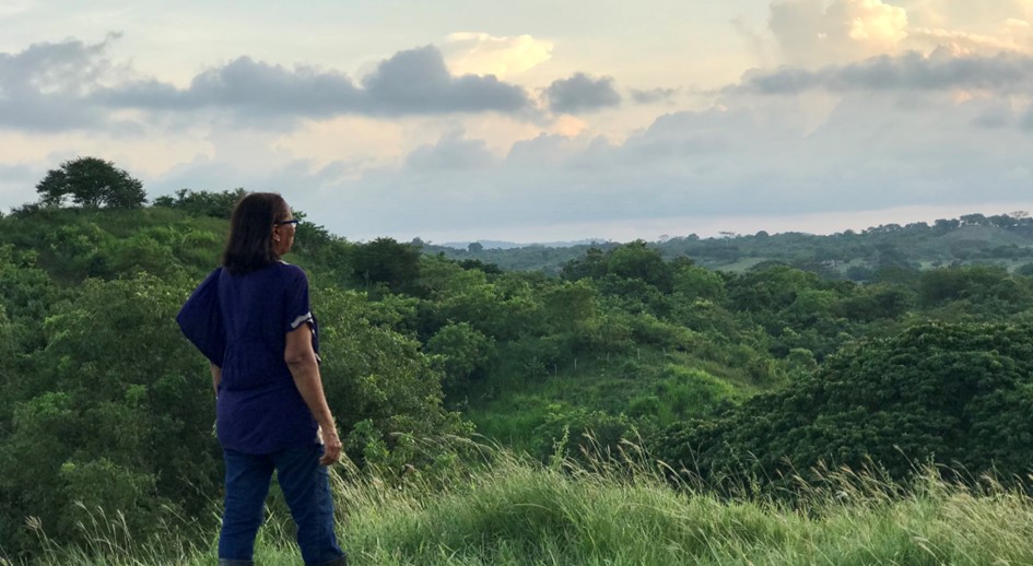 Familia víctima de Las Palmas, Bolívar, recuperó 90 hectáreas y venció a acumuladores de tierras en Montes de María