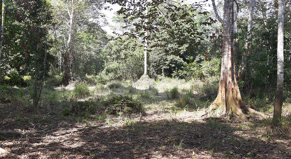 Familia de Simacota (Santander), desplazada por los paramilitares, recuperó sus tierras 