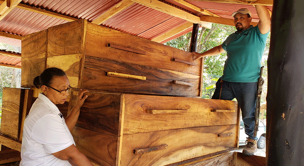  nullBeneficiaria de restitución de Cesar le está vendiendo el cacao que cultiva a la Compañía Nacional de Chocolates 