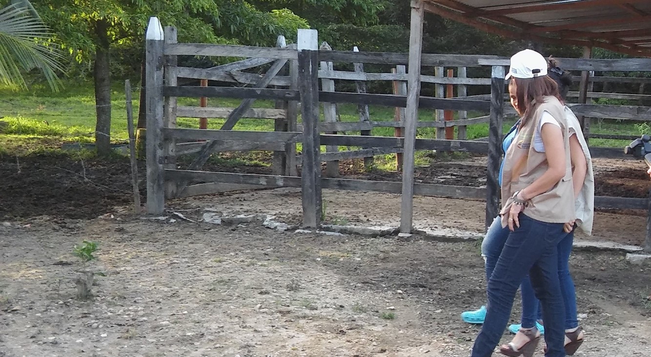 Víctimas de la violencia en Sabana de Torres (Santander), recuperan su predio 