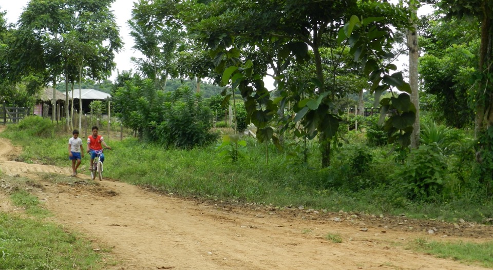 Predios que integran la emblemática hacienda “La Corona” en Turbo, Antioquia, serán entregados a campesinos despojados por la ‘Casa Castaño’ 
