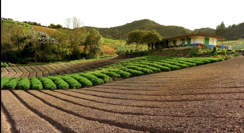 Por estado de emergencia sanitaria, la Unidad de Restitución de Tierras suspende temporalmente los trámites de inscripción en el Registro de Tierras Despojadas y Abandonadas Forzosamente 