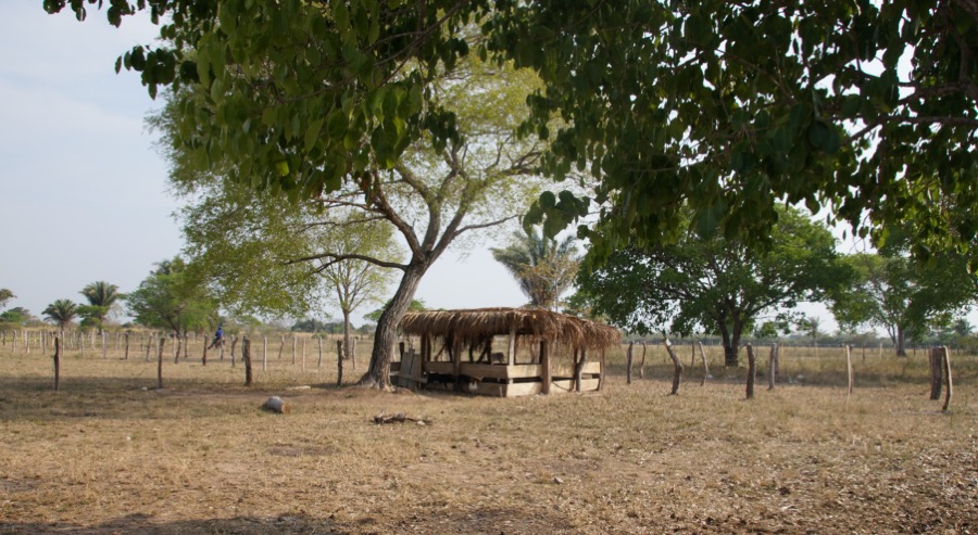 En el Cesar mujer campesina y opositor fueron reparados de manera efectiva 