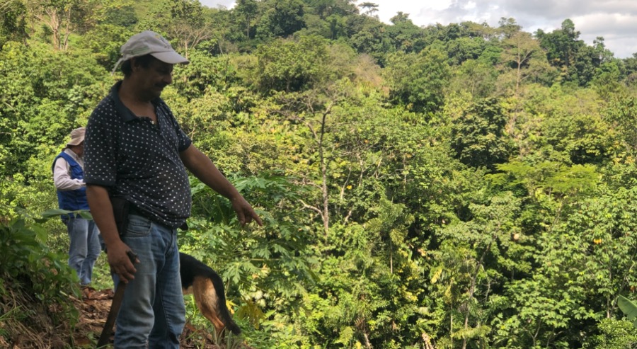 Fallos de restitución favorecen a cinco familias desplazadas por grupos ilegales en Caquetá 