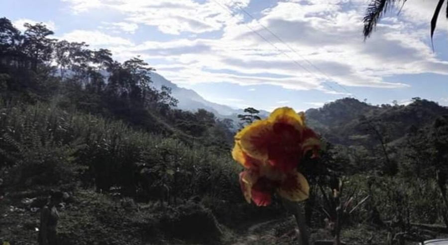 Familia desplazada por enfrentamientos de grupos ilegales recupera su predio en La Peña (Cundinamarca) 