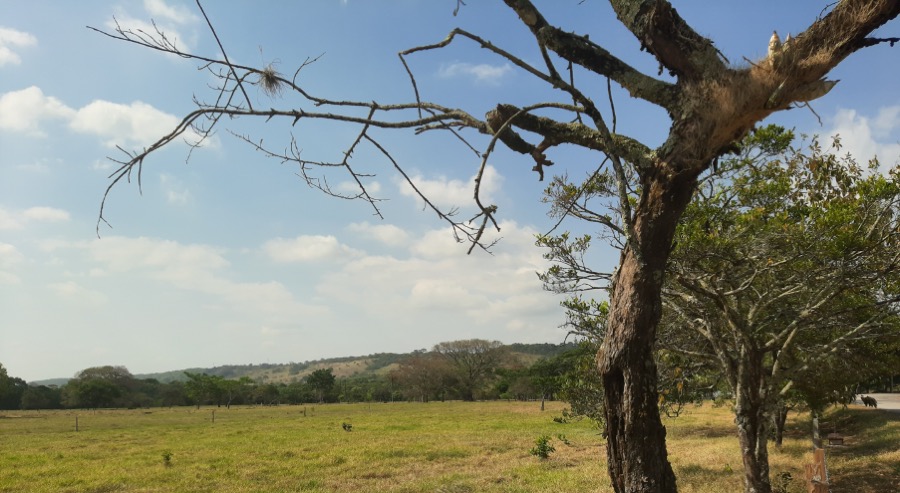 Familia desplazada por la guerra entre las FARC y Autodefensas en Tauramena (Casanare) recupera su tierra 