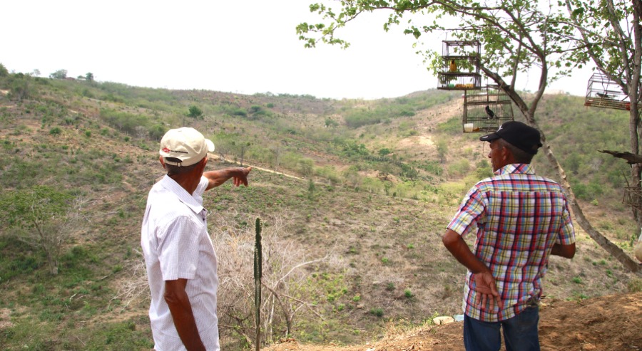 Restitución de tierras permitirá la reconstrucción del corregimiento Las Palmas, en San Jacinto, Bolívar 
