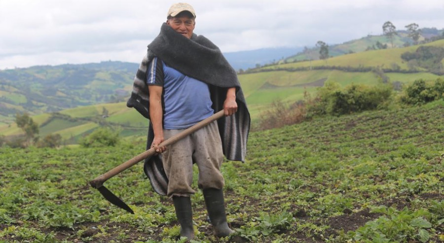 Nueve años restituyendo los sueños de familias campesinas nariñenses 