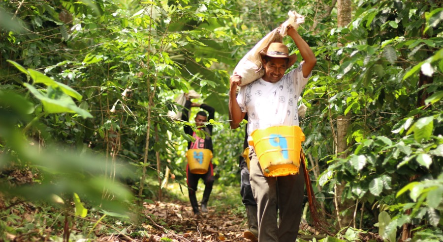 Más de 16 mil hectáreas de tierra han sido restituidas en Magdalena durante 9 años de la política de restitución 