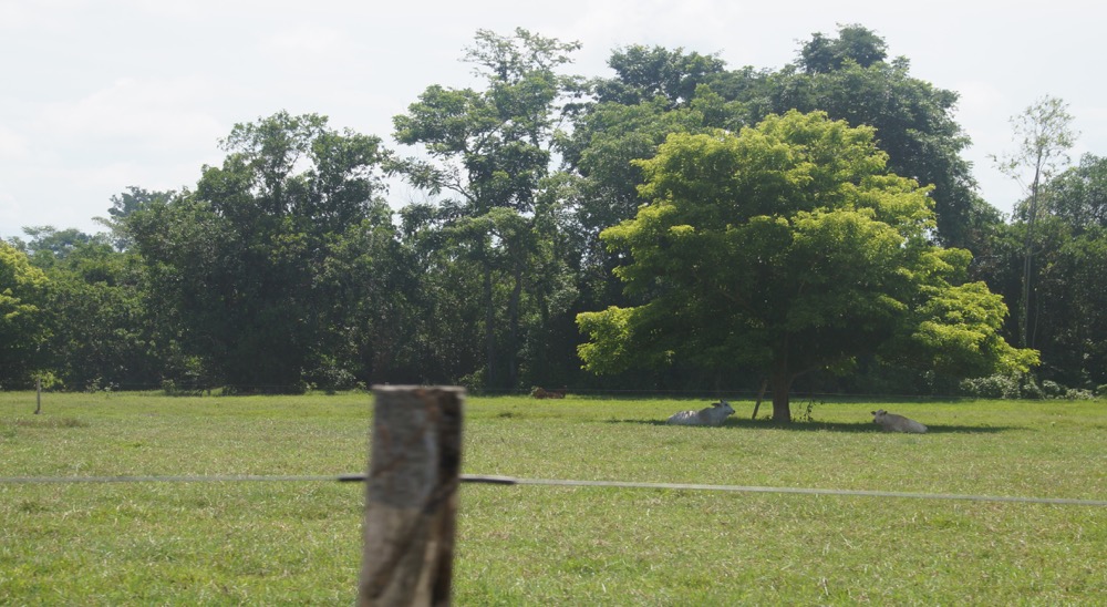 Víctimas del excomandante paramilitar Camilo Morantes en Sabana de Torres, Santander serán compensados por la Unidad de Restitución 