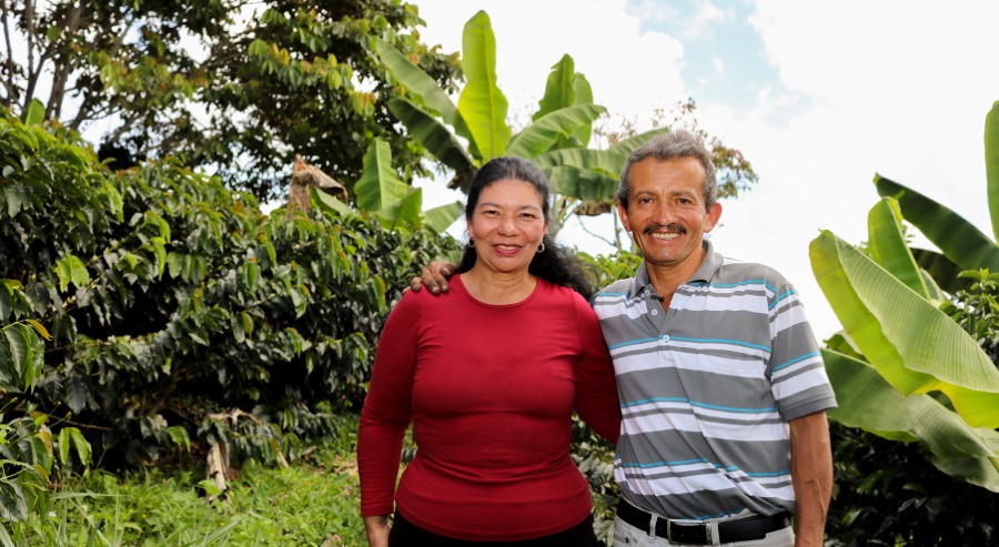 Al finalizar el 2020 la Unidad de Restitución de Tierras tendrá implementada la demanda electrónica en el 100% de las direcciones territoriales 