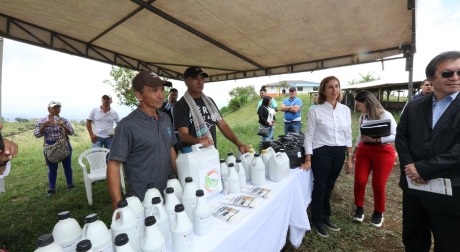 Café Galicia “Fruto de la Restitución” del Valle del Cauca llega a Estados Unidos y Europa 