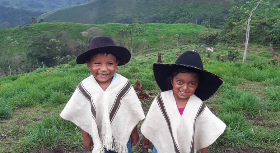 Unidad de Restitución de Tierras radicó solicitud de medida cautelar para proteger 4 mil hectáreas del territorio indígena ‘Ondas del Cafre’ en Mesetas, Meta 