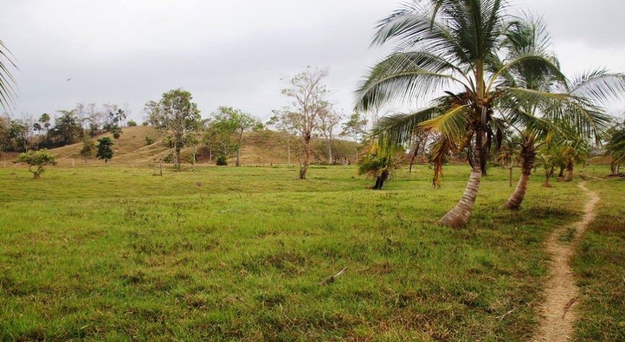 Con medida cautelar se busca proteger territorio ancestral del Consejo Comunitario del Río Domingodó en el Bajo Atrato 