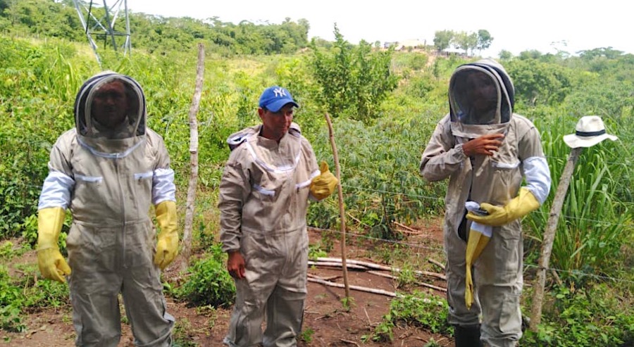La Unidad de Restitución de Tierras transforma vidas impulsando la comercialización de miel de los Montes de María 
