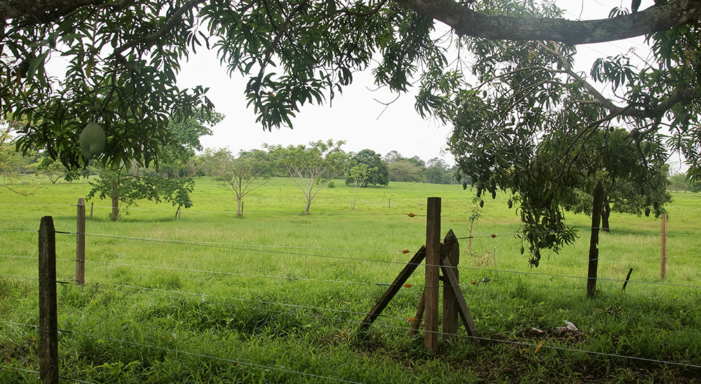 nullFamilia de San Martín (Cesar), víctima de los autodefensas, será compensada con un nuevo predio 
