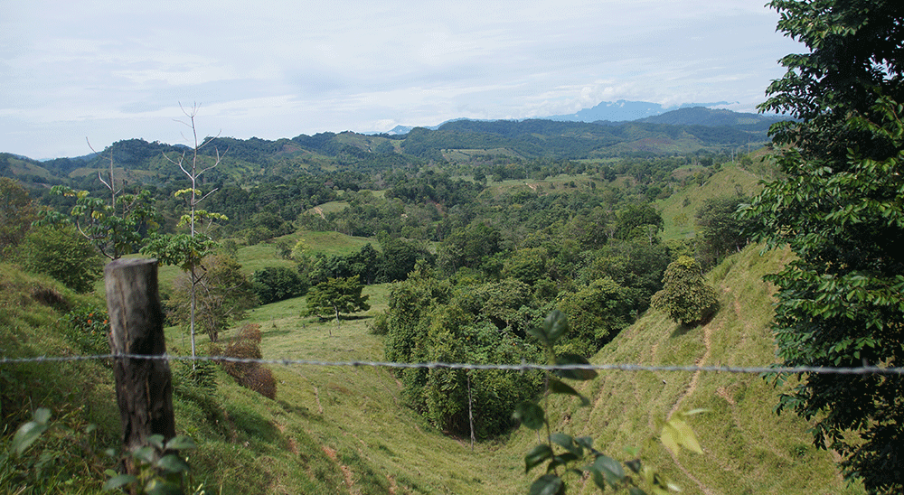 Tribunal Superior de Cúcuta ordenó compensación para familia víctima de la violencia, en San Vicente de Chucurí (Santander) 