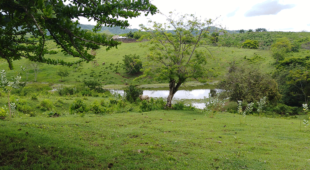 nullFamilias desplazadas por la masacre de El Salado, en Bolívar, recuperaron sus tierras. 
