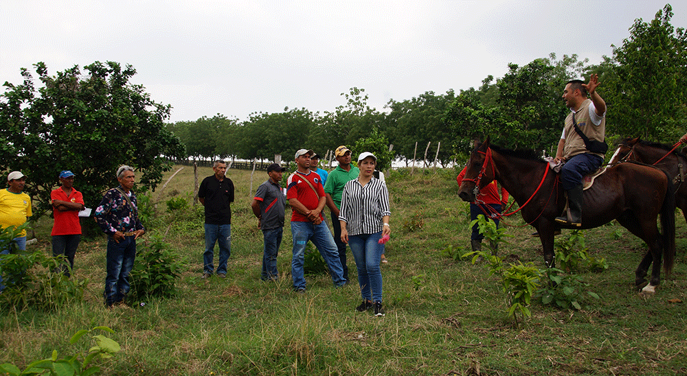 En Bolívar, segundos ocupantes recibirán predio adquirido por la URT para su atención 