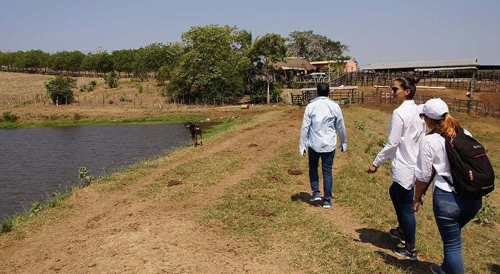 Unidad de Restitución de Tierras (URT) adelanta compra de predios, en Bolívar, para la atención a segundos ocupantes 