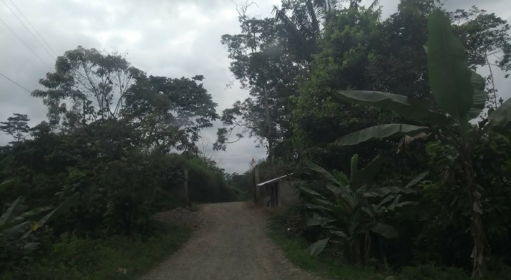 UNIDAD DE RESTITUCIÓN DE TIERRAS LAMENTA LA MUERTE DELGOBERNADOR SUPLENTE DEL RESGUARDO INDIGENA AWÁ INDA ZABALETA, NARIÑO 