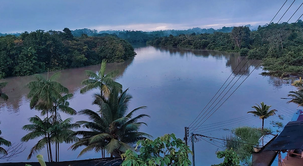 La Unidad de Restitución de Tierras busca proteger derechos territoriales étnicos de 7.478 personas de Tumaco y Roberto Payán en Nariño 
