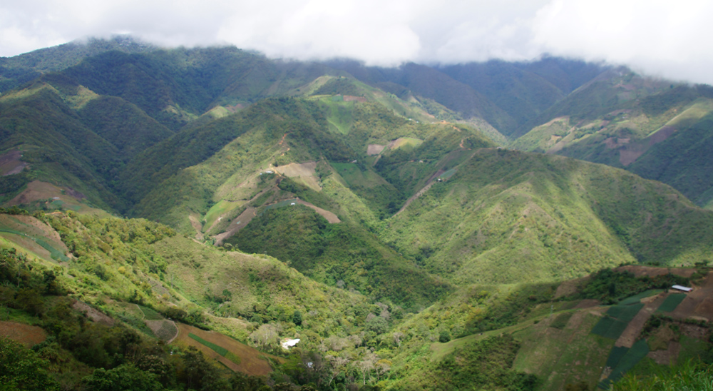 Sentencia de restitución de tierras favorece a familia que huyó a Venezuela por causa de la violencia