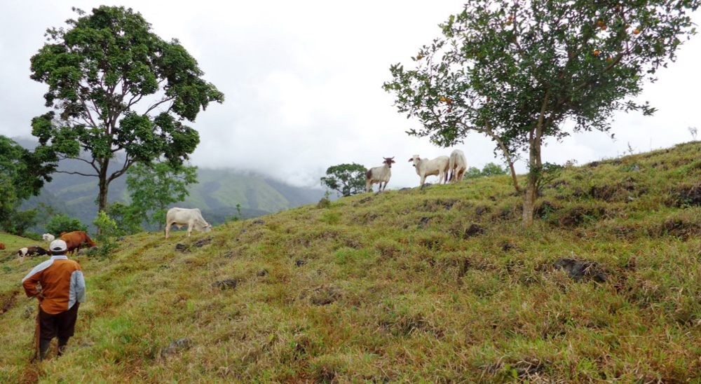 En Cauca es conmemorado el Día Nacional de las Víctimas