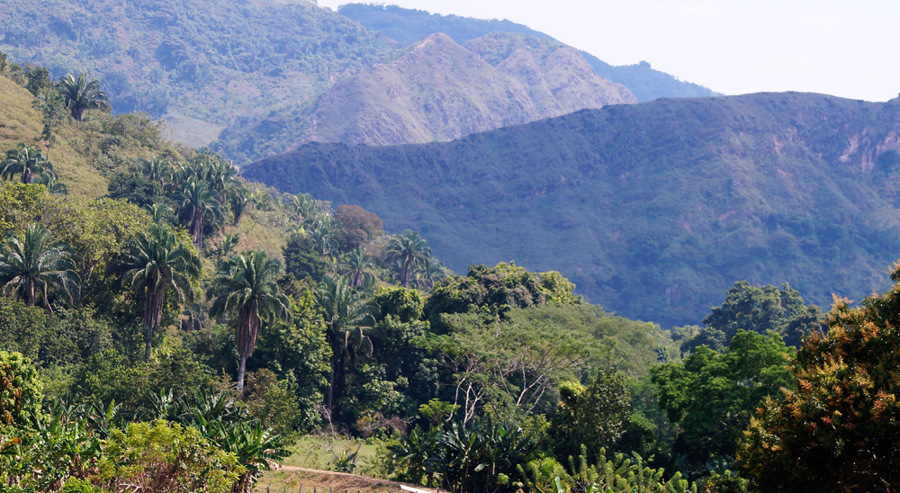 La URT proyecta cierre de zonas de trabajo en ocho municipios de Tolima